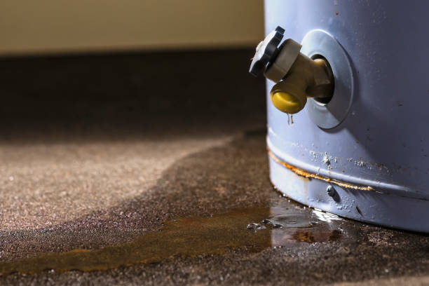 Best Emergency water damage restoration  in Marlboro Meadows, MD