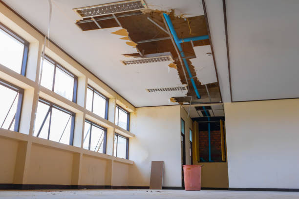 Best Local water damage restoration  in Marlboro Meadows, MD
