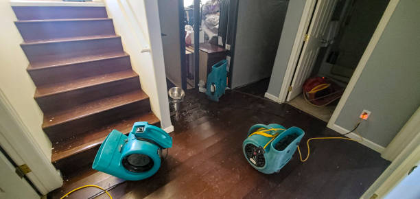 Best Sewage cleanup and water damage restoration  in Marlboro Meadows, MD