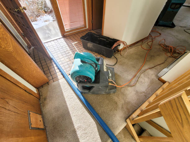  Marlboro Meadows, MD Water damage restoration Pros