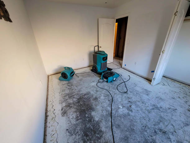 Best Ceiling water damage repair  in Marlboro Meadows, MD