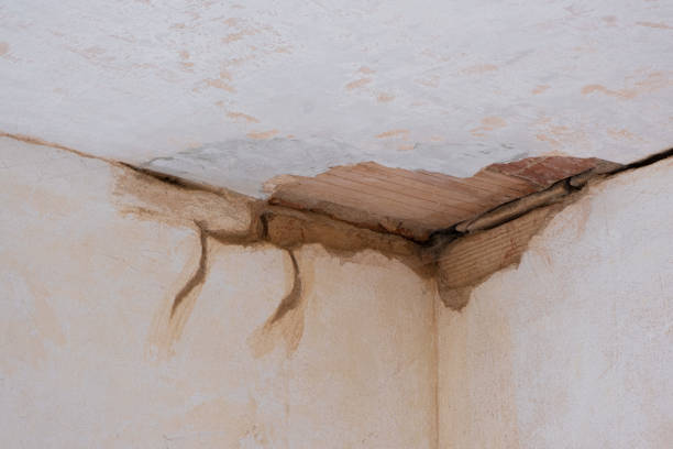 Best Emergency water damage restoration  in Marlboro Meadows, MD