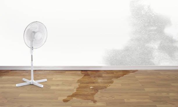 Best Commercial water damage restoration  in Marlboro Meadows, MD