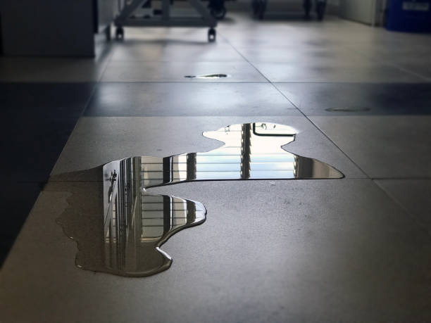 Water damage restoration experts in Marlboro Meadows, MD