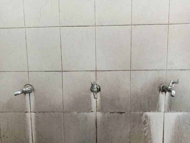 Best Mold removal after water damage  in Marlboro Meadows, MD