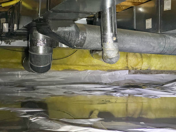 Best Water damage restoration mold remediation  in Marlboro Meadows, MD