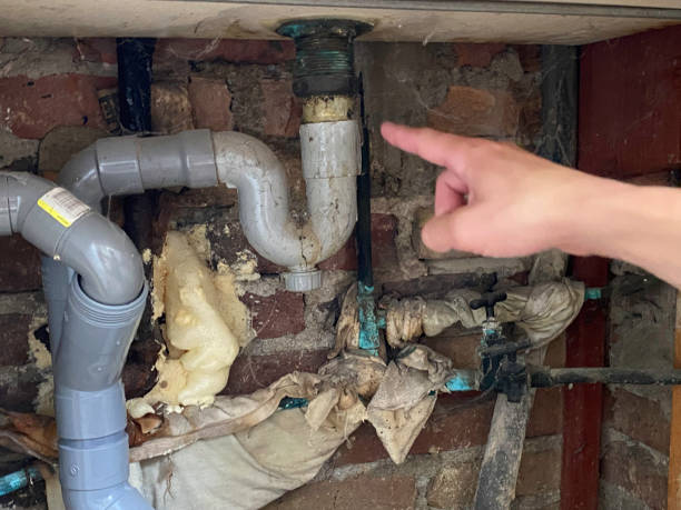 Best Professional water damage repair  in Marlboro Meadows, MD