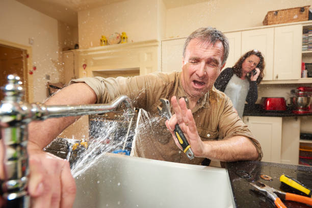  Marlboro Meadows, MD Water damage restoration Pros